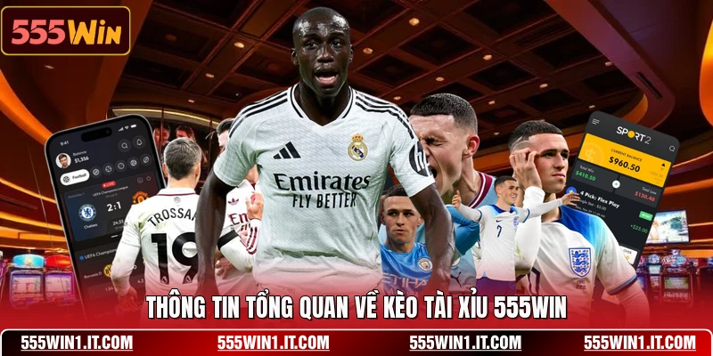 Thông tin tổng quan về kèo tài xỉu 555WIN